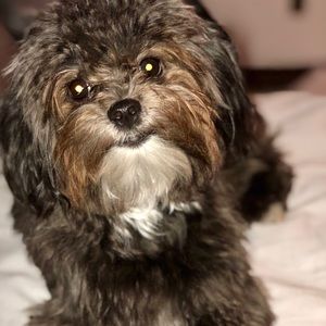 Meet your Posher, Anissa